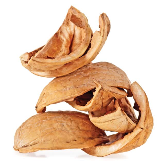 Walnut Shell – herbal face scrub Image Title – Walnut Shell